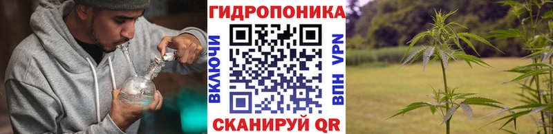Купить наркоту Покачи A-PVP  Codein  Марихуана  КОКАИН  Меф 