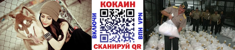 где купить наркотик  блэк спрут ONION  Кокаин Fish Scale  Покачи 