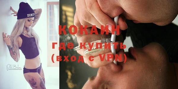шишки Аркадак