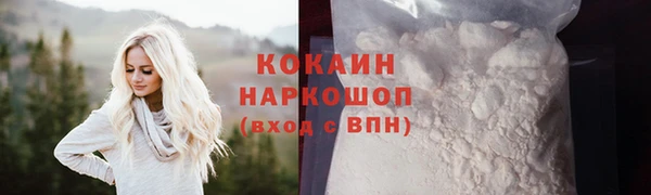 шишки Аркадак