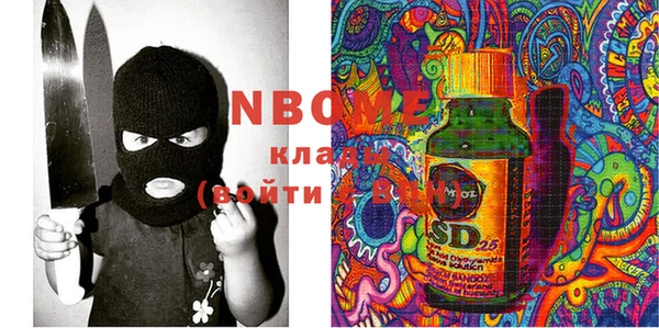 шишки Аркадак
