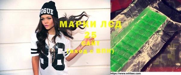 шишки Аркадак