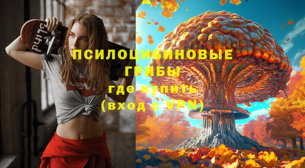 шишки Аркадак