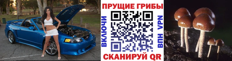 Галлюциногенные грибы Magic Shrooms  Покачи 
